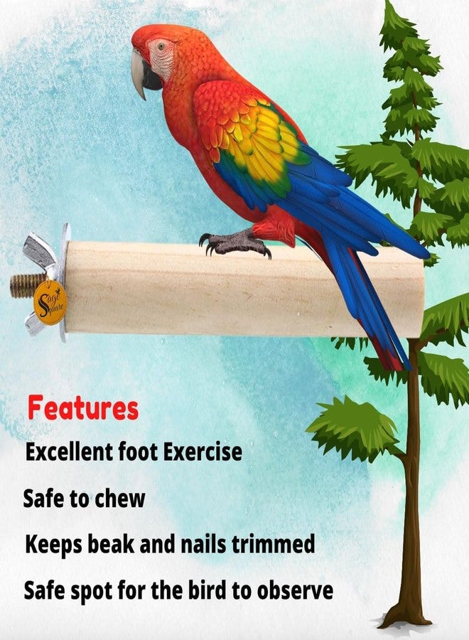 سايج سكوير مجموعة مجاثم رملية عادية ومربعة من خشب طبيعي خشن مقاس 4 بوصات مع مسمار طحن | حامل للعب والتدريب وملحقات القفص | للطيور، العصافير، الببغاوات، الببغاوات الأسترالية، الكوكاتيل (عبوة من قطعتين) - Image 3